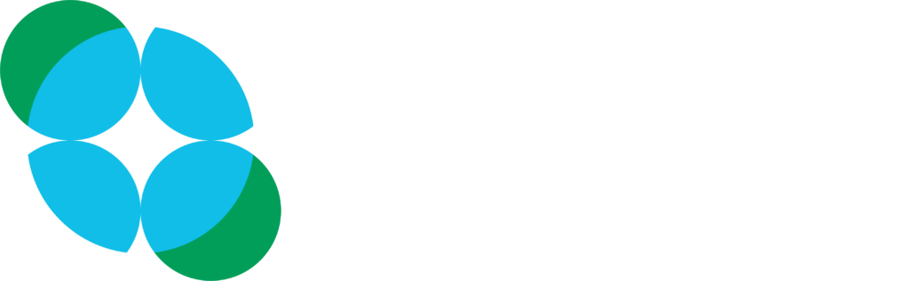 logo Destin commun