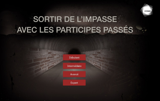 Capture Sortir de l'impasse des participes passés