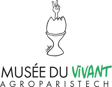 Logo Musée vivant