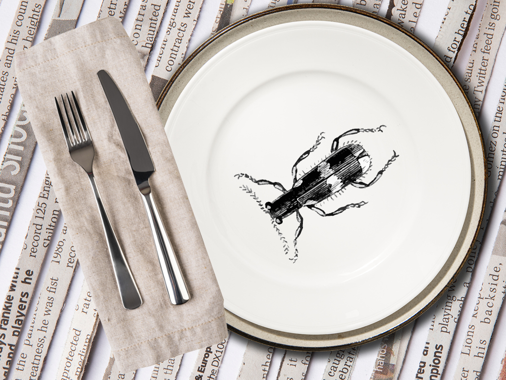 couvert et serviette sur la gauche et une assiette avec un dessin d'insecte dessus